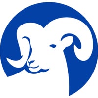 Semahat Sevim Arsel: An In-Depth Look at Her Net Worth